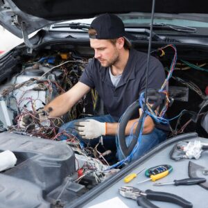 автоэлектрик лесной